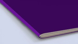 Binding option 3